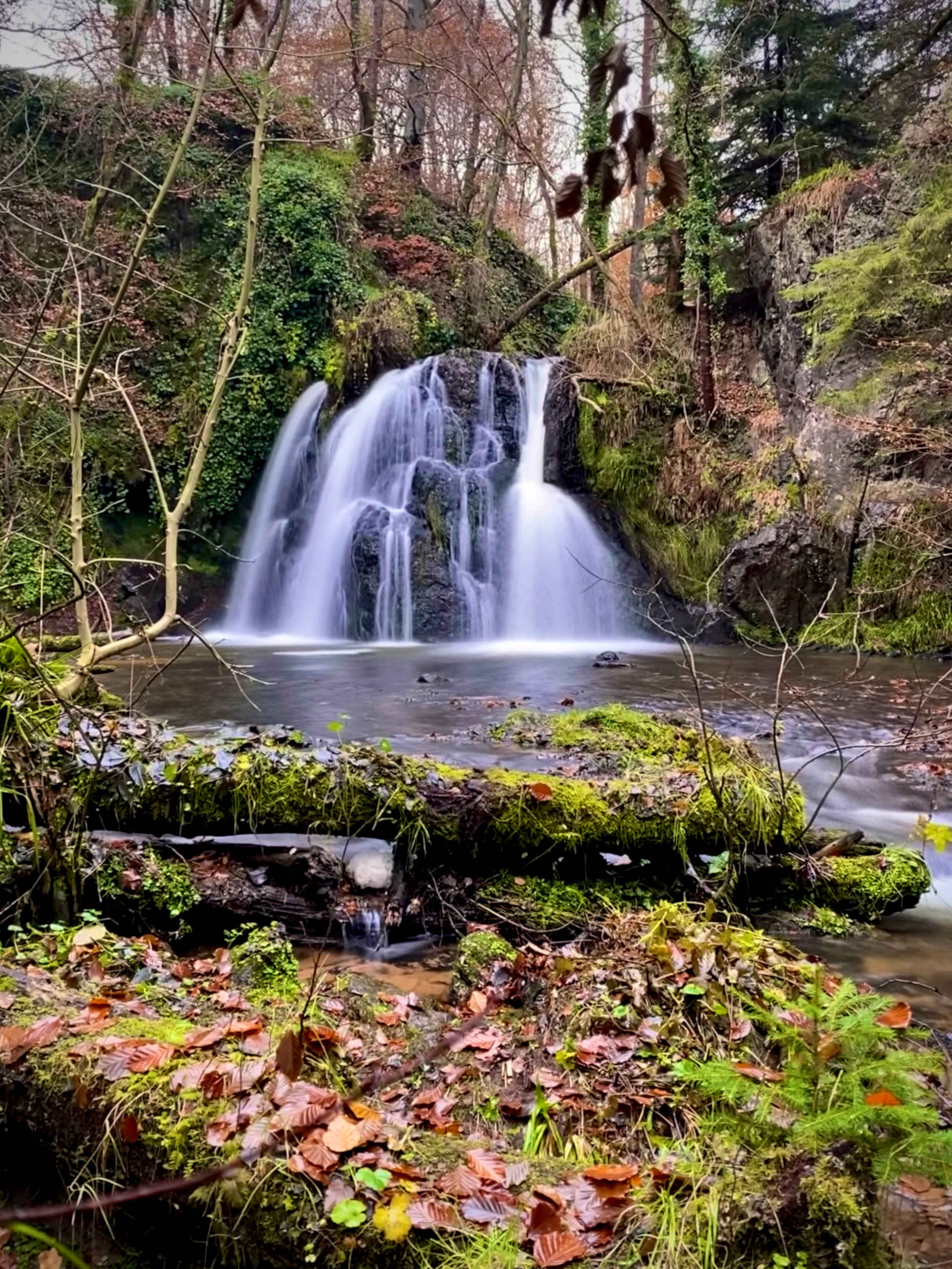 Fairy Glen