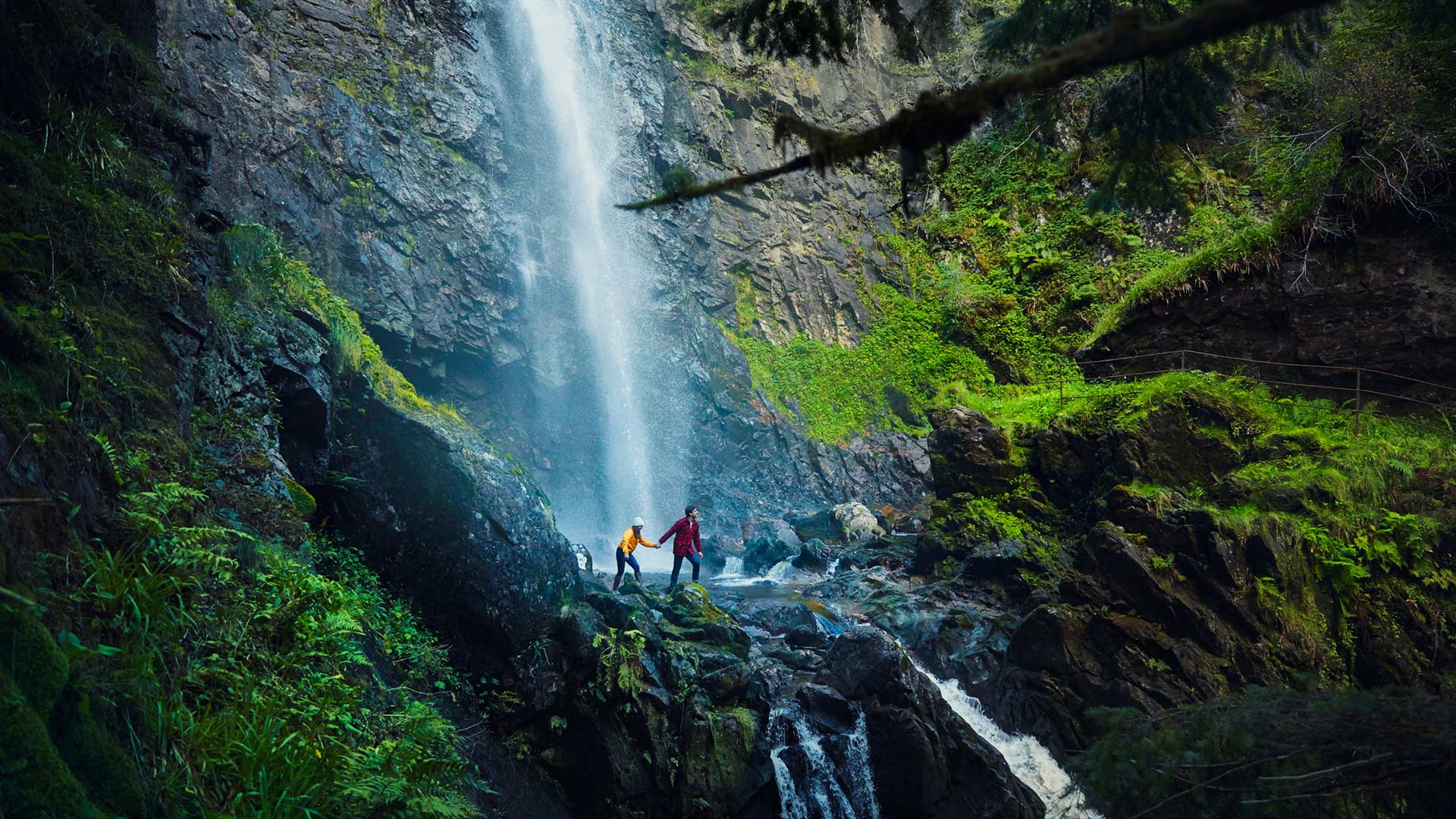 Plodda Falls