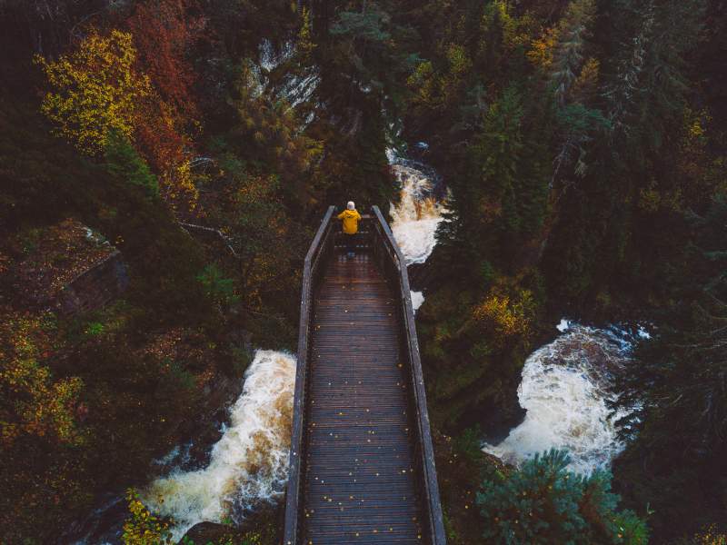 Plodda Falls