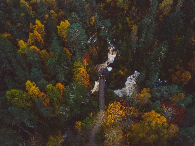 Plodda falls