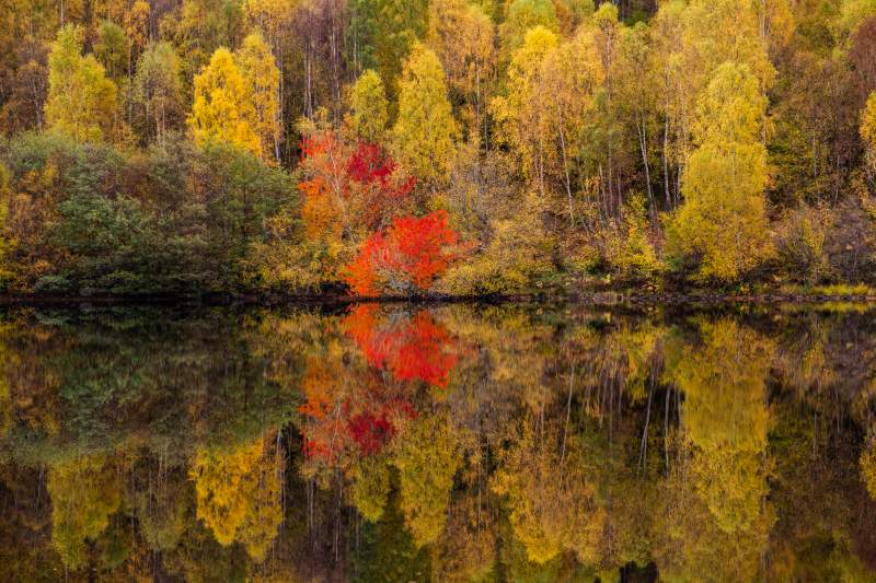 Fort Augustus autumn