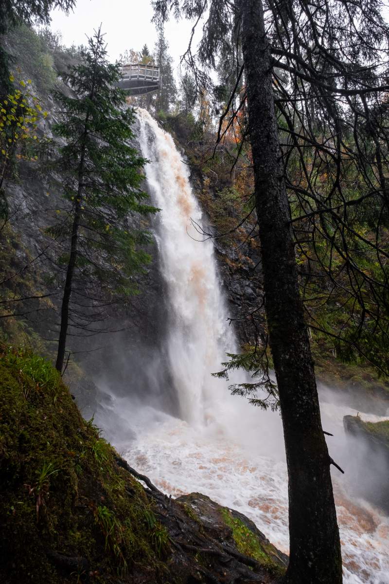 Plodda Falls