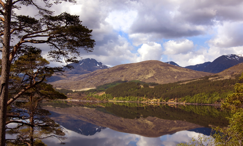 Glen Affric Circuit  Visit Inverness Loch Ness