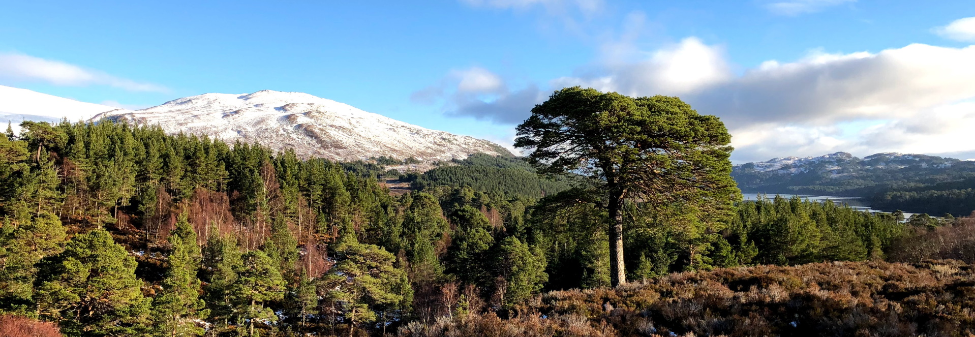 Glen Affric