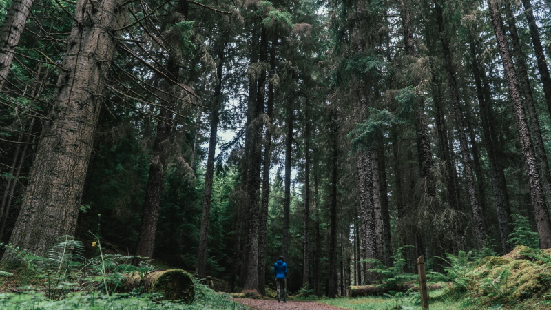 Inverfarigaig | Visit Inverness Loch Ness