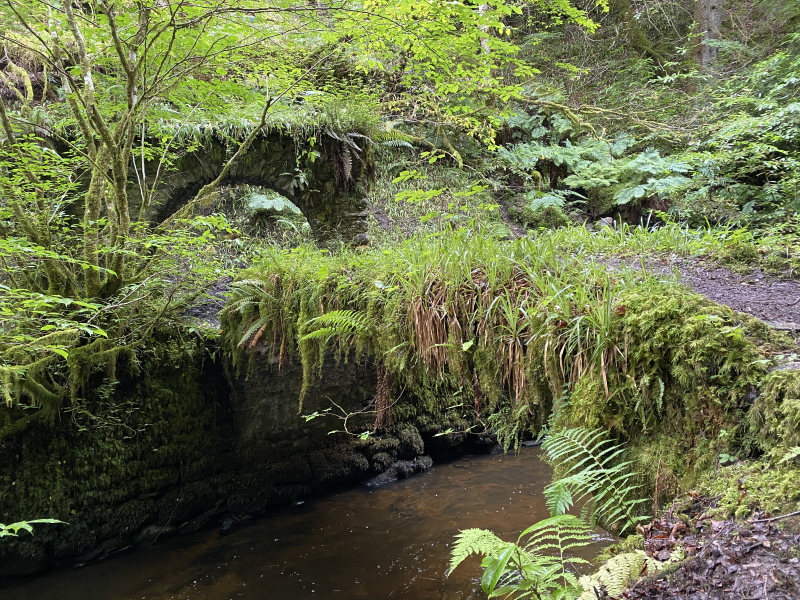 Reelig Glen