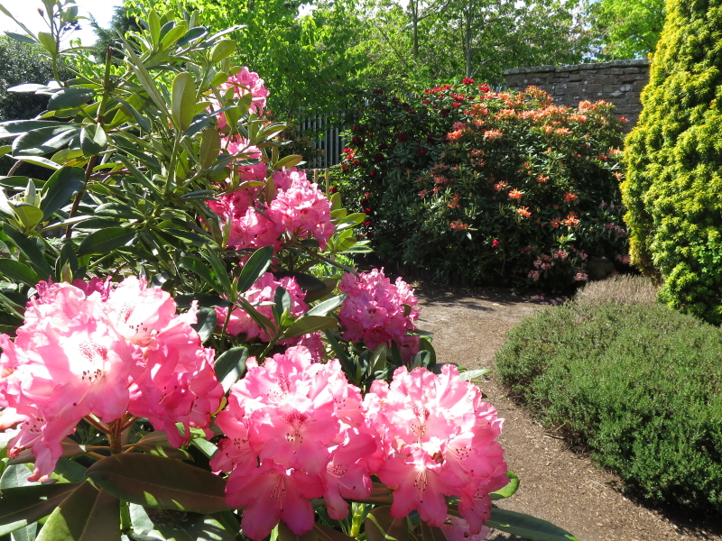 Inverness Botanic Gardens
