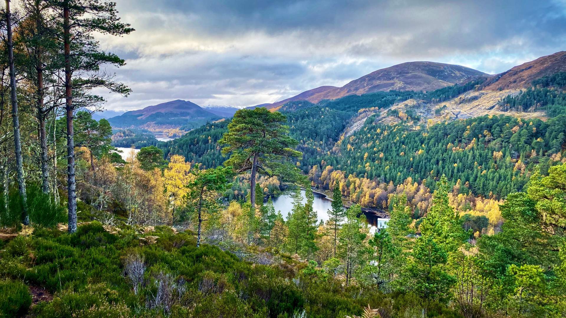 Glen Affric view