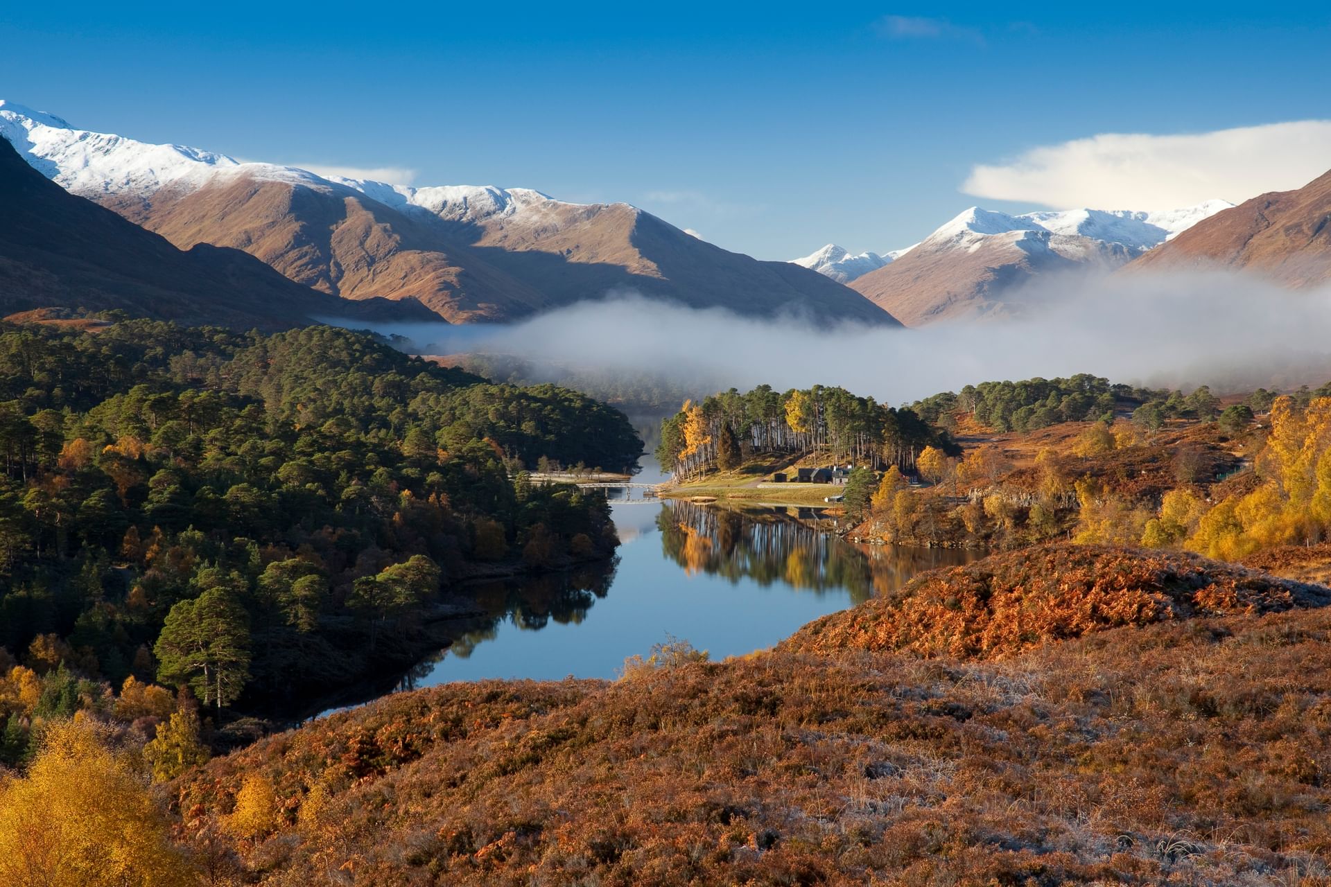 Glen Affric view