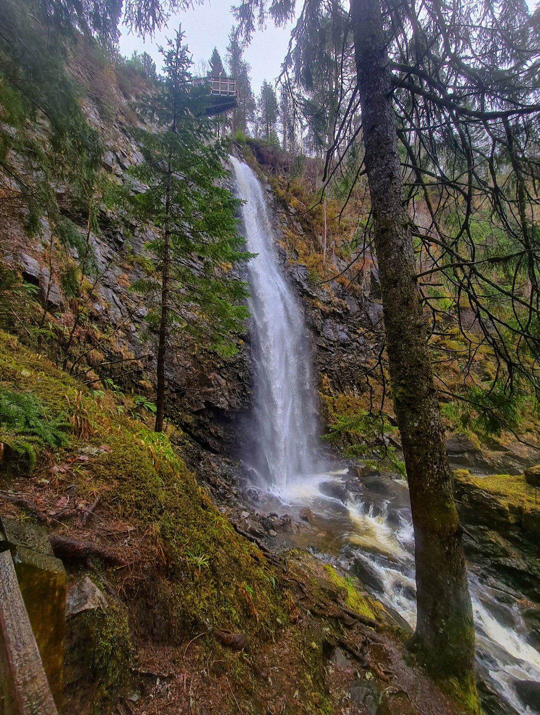 Plodda Falls