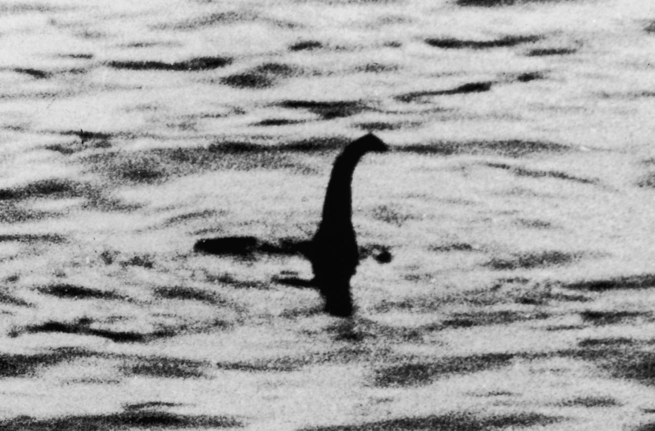 Nessie Sighting