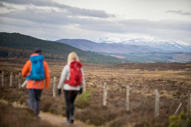 Winter walking