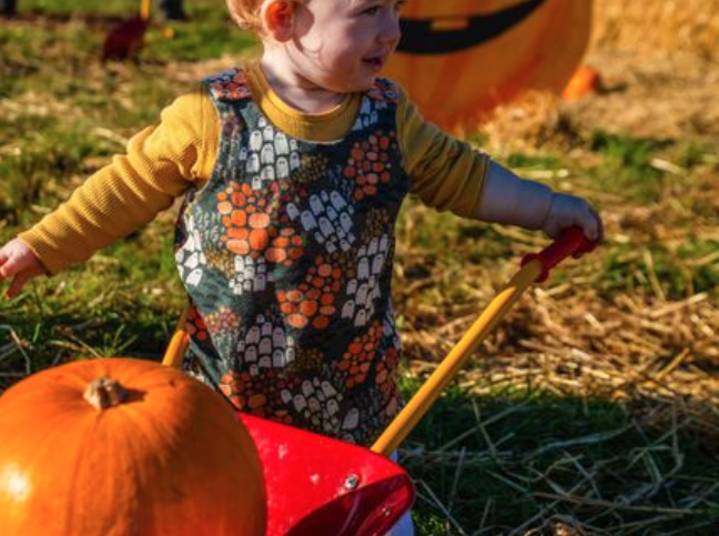 Farm Ness Halloween
