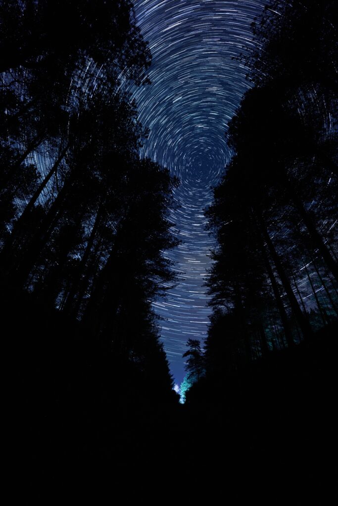 Dundreggan Rewilding Centre