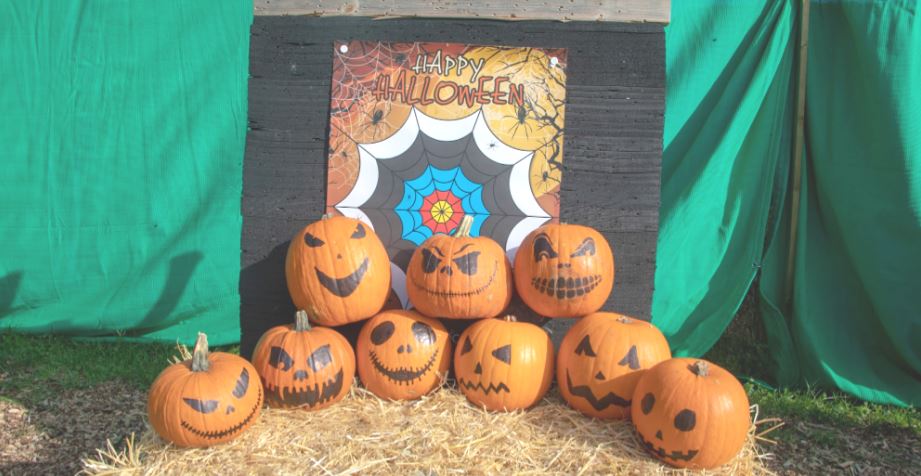 Halloween Archery