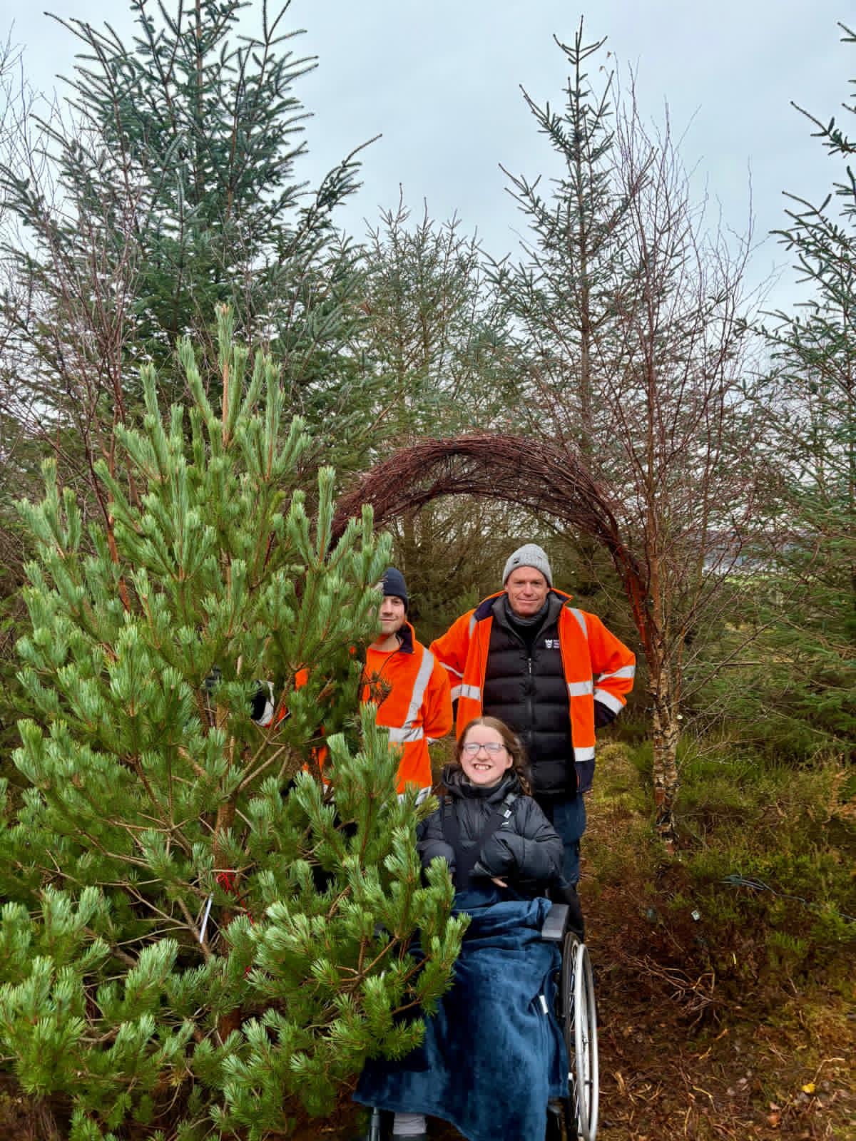 Christmas trees